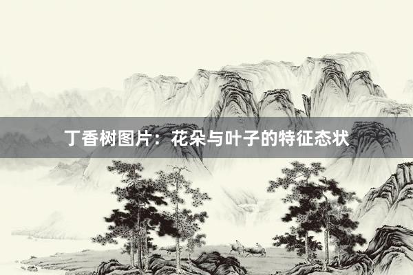 丁香树图片:花朵与叶子的特征态状
