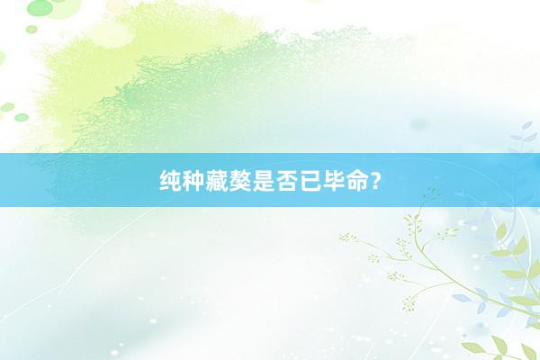 纯种藏獒是否已毕命？